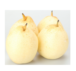 ลูกแพร์ยาเกรดสูงสำหรับขายลูกแพร์สดฉ่ำยาสำหรับการส่งออกและขายปลีก - Product Image 6