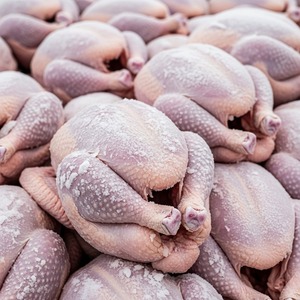Wholesale Turkey Meat Frozen Whole Bird and Processed Cuts Available for Retail and Foodservice <b>Fast</b> Shipping - Product Image 6