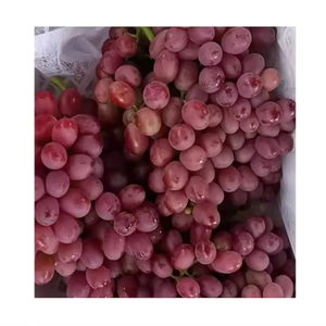 องุ่นเขียวไร้เมล็ดออร์แกนิกคุณภาพสูงจากเท็กซัส น้ำตาล 19% ลดราคาพิเศษ - Product Image 1