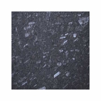 Nouvelle conception luxueuse de la meilleure qualité Densité 2cm 70ups x 240ups Tuile tropicale de granit de pierre de marbre d'or d'Inde