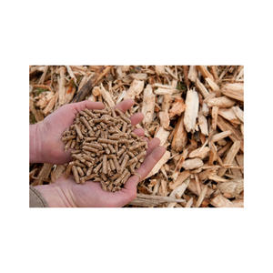 <span class=keywords><strong>Legna</strong></span> da ardere essiccata <span class=keywords><strong>in</strong></span> forno di <span class=keywords><strong>faggio</strong></span>/quercia essiccata convenientemente riscaldata <span class=keywords><strong>in</strong></span> pallet e sacchi di pellet di legno - Product Image 5