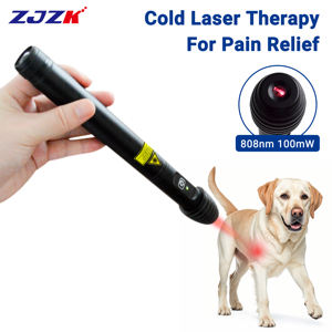 Appareil de thérapie laser manuel 100mW 808nm Stylo pointeur pour la thérapie laser équine et le traitement par acupunctur - Product Image 1