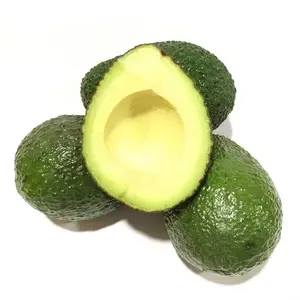 Best Price Fresh Fruit Avocados Bulk Stock Available With Customized Packing