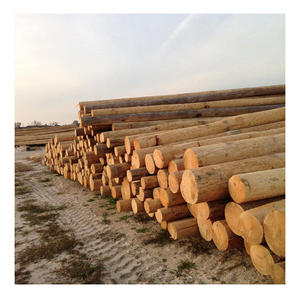 Bûches de pin idéales pour les applications structurelles, offrant un excellent rapport résistance-poids et une durabilité naturelle pour la construction en gros. - Product Image 1