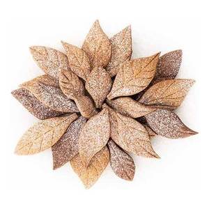 Ensemble de 11 emporte-pièces Silikomart 53 151 20 0065 Emporte-pièces en forme de feuille Outils pour biscuits - Product Image 6