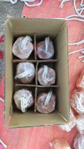 Супер September, распродажа, дешевая цена, оптовая продажа животных, облизывания, гималайский розовый Сал, натуральный чистый солевой блок на веревке для лошадей, оленей, кроликов, Гималайская съедобная соль для облизывания крупного рогатого скота - Product Image 2