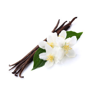 Top Grade Premium Dried Vanilla <b>Beans</b> From South Africa - Product Image 5