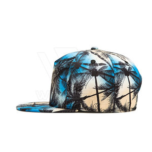 Cómodo superventas Snapback sombreros hechos en Pakistán ligero color sólido Snapback sombreros - Product Image 4
