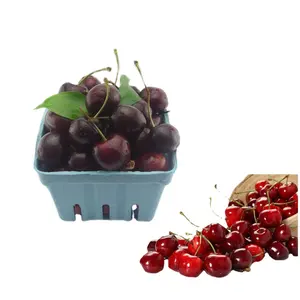 Latest Design Biodegradable Paper Pulp Eco Friendly Berry Basket Package For Sale