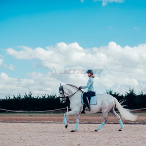 Vendaje estilo polo para entrenamiento ecuestre y protección diaria, envolturas acolchadas duraderas para pierna de caballo, envolturas para pierna de caballo, Polo OEM - Product Image 3