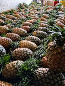 <b>Fresh</b> <b>Pineapple</b>, High Quality and Reputable Source from Vietnam, Large Quantity, Cheap Price from Bao Tram Anh Company - Product Image 3