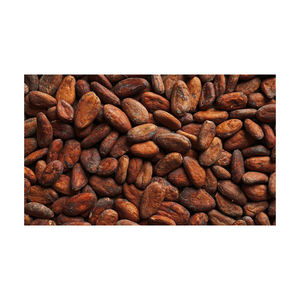 Granos de Cacao de Alta Calidad 100% Naturales - Product Image 5