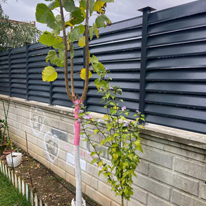 Modern Outdoor Powder Coating Horizontal Louvre Fence Pre-Assembled Galvanized Metal Panels DIY Style Fencing Trellis <b>Gates</b> - Product Image 1