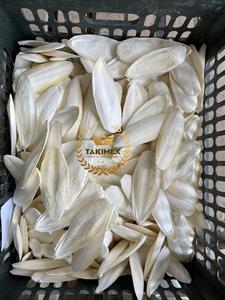 Hueso de sepia de tamaño personalizado y cartón empaquetado hecho en Vietnam - Product Image 5