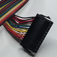 Rangkaian Kabel Pigtail Konektor MX3.0 Custom Micro-Fit 3.0 dengan Kabel Molex 4 8 10 12 16 22 24 Sirkuit dan Konektor 2*2 2*5 2*10 2*14 Pin