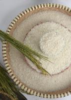 LE CAMEROUN IMPORTE DU RIZ DU VIETNAM | LE RIZ DU CAMEROUN EN AFRIQUE: Riz Japonica, Riz Jasmin, Riz Long Grain | OO84825431311
