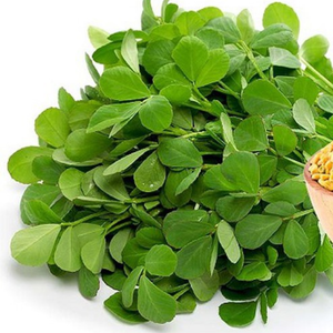 LUCERNA DE ALTA CALIDAD PARA LA NUTRICIÓN DEL GANADO, LA AGRICULTURA SOSTENIBLE Y EL CRECIMIENTO - Product Image 5