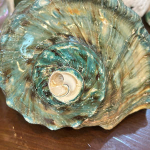 เปลือกหอยพรีเมี่ยมวัสดุจากมหาสมุทรเวียดนามเหมาะสำหรับการตกแต่งด้วยงานฝีมือเครื่องประดับและการสร้างสรรค์ของที่ระลึก - Product Image 5