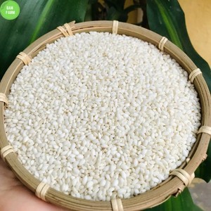 Arroz suave de grano largo, arroz glutinoso, origen de Vietnam, Ms Sophie, precio competitivo - Product Image 1