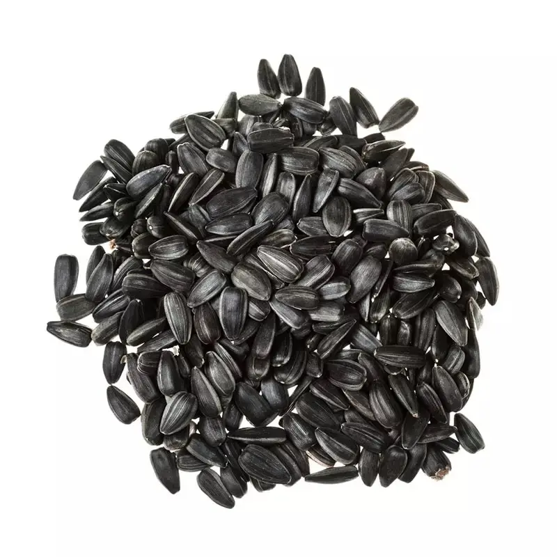 2023 graines de tournesol noires haute qualité Ukraine graines de tournesol noyau de graines de tournesol brut naturel en gros consommation humaine