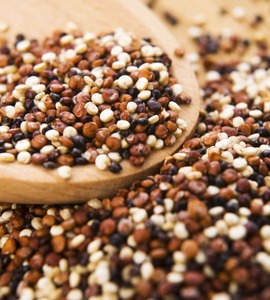 Quinoa Tricolore Biologica Premium dal Perù, 100% Pura, 12% di Umidità, Superfood ad Alto Contenuto Proteico, Confezione (25kg) Agrilatin SAC Exports - Product Image 2