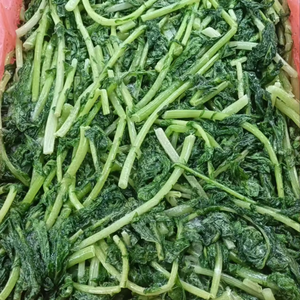 Feuilles de radis congelés du Vietnam | Couleur verte naturelle | Meilleur prix exportation - Product Image 1