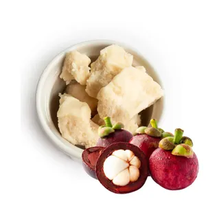 เนย kokum บริสุทธิ์จากธรรมชาติสกัดเย็นและไม่ผ่านการกลั่นสำหรับครีมโลชั่นบาล์มสบู่และเนยทาตัว | ขายส่งจำนวนมาก - Product Image 4