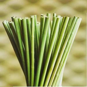 Pajitas de hierba de Vietnam | Pajitas de fibra de bambú biodegradables | Pajitas ecológicas para beber al por mayor - Product Image 4