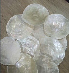 Conchas de vieira importadas a granel | Superficie refinada, grosor uniforme, excelente suministro de artesanía para exhibición de comida de restaurante - Product Image 6