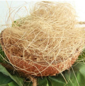 Fibres agricoles de fibre de coco de fibre de noix de coco pour l'agriculture pour le tapis de tissage pour l'élevage - Product Image 1