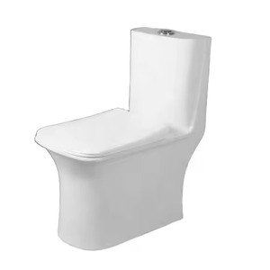 Vente en gros de siphon de toilette en céramique tuyau de drainage toilette complète anti-odeur anti-gel anti-fissure siège de toilette une pièce - Product Image 1