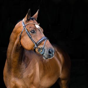 Bride anatomique Vente en gros Bride en cuir de cheval de haute qualité Bride en cuir de cheval Prix de gros - Product Image 2