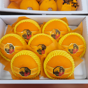 [Bbungja Jeju Gyul Farm] Mandarina Fresca Premium Coreana Cheonhyehyang, Cítrico Dulce y Aromático de Jeju, de Corea - Product Image 1