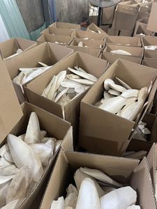 อาหารนกแก้วปลาหมึกอบแห้งจากโรงงานเวียดนามราคาไม่แพง - Product Image 3