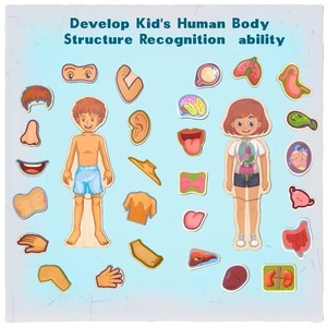 Fabricant OEM ODM de qualité supérieure de puzzles en bois 3D gravés personnalisés pour jouets éducatifs et kits de loisirs pour adultes - Product Image 2