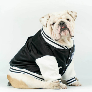 เสื้อฮู้ดสำหรับสุนัขขนแกะผ้าฝ้ายเทอร์รี่ฝรั่งเศสออกแบบได้ตามต้องการหรูหราและน่ารัก - Product Image 2