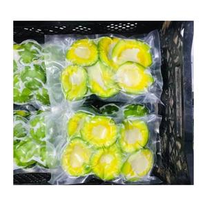 Meilleure Vente : Avocat Biologique IQF Congelé Récolte 2023 de 99 Gold Data au Vietnam, Carton de 10kg - Product Image 6