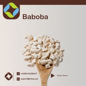 Polvo de aceite de semillas de Baobab orgánico natural Recurso alimenticio directo para productos agrícolas Origen de frutas - Product Image 3