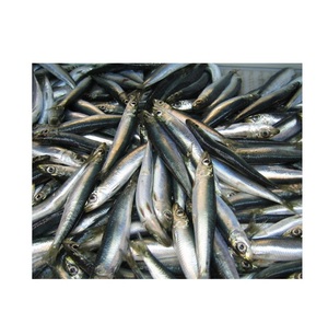 Hareng entier biologique de qualité supérieure surgelé sous vide 20 kg - Product Image 4