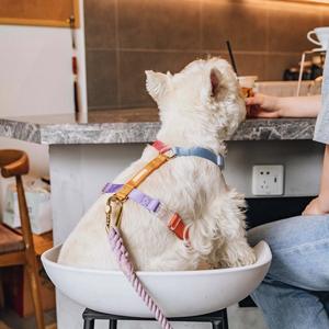 Arnés de Lujo Personalizado para Perros Pequeños y Conjunto de Arnés para Cachorros con Correa de Manos Libres y Cinturón para Caminar con Asa - Product Image 1