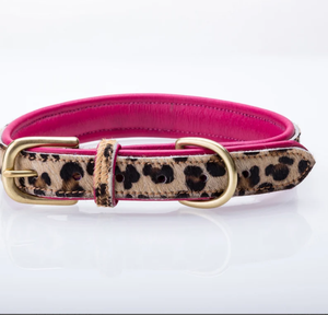 Collier de chien en cuir plat rembourré imprimé léopard poire tannerie collier de chien pour lévrier et Whippet - Product Image 1