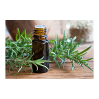 Herbojit International Aceite Esencial de Romero de Excelente Calidad de Marca Privada para el Crecimiento del Cabello, Cuidado de la Piel, Aceite de Aromaterapia Orgánico