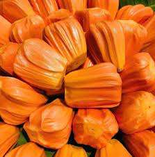 ขนุนแดง IQF พร้อมรับประทาน เมล็ดแดงหวาน ซันไรส์ฟรุต สำหรับของหวาน สมูทตี้ ไอศกรีม และการแปรรูปอาหาร - Product Image 5