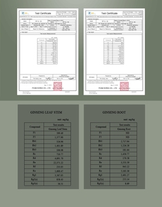 ผงสกัดรากโสมเกาหลีแบบพรีเมียมจากพืชทั้งต้น 6.5 เท่าของค่า Rg3 ซาโปนินส์  แปรรูปแบบแช่แข็ง ปลูกในฟาร์มอัจฉริยะ CAN - Product Image 2