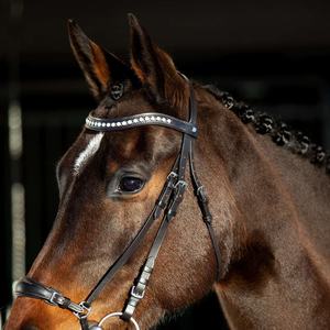 Bride de cheval en cuir véritable Fabricant de bride de cheval en cuir véritable coloré de luxe en Inde - Product Image 3
