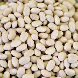 Haricots Blancs Séchés Naturels Riches en Protéines Légumineuses Nutritives Aliment Sain Qualité Exportation Grains pour Vente en Gros et Approvisionnement en Vrac - Product Image 3