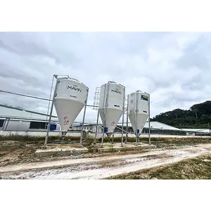 Silos Système de transport de son de haute qualité Élevage de porcs Équipement d'élevage de porcs Conceptions personnalisées de fabricant du Vietnam