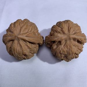 Lámpara de Sal de Piedra Danhong Fuli Coleccionable - Concha Roja Profunda Natural, Técnica Cruda, Forma de Flor, Colección Feng Shui de Gran Valor - Product Image 1