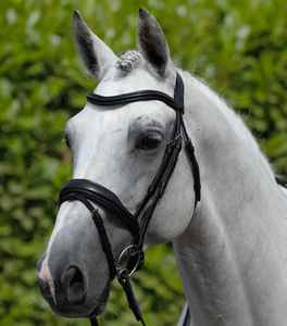 Brida de Cuero Resistente Personalizada para Caballo, Diseño de Silla Inglesa 2026, Perfecta para Equitación al Aire Libre, Servicio OEM Ecuestre - Product Image 1