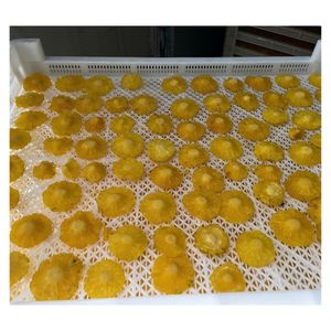 Piña seca de Vietnam Premium Golden Sweet Slice Textura masticable suave Aroma natural Sabor sabroso Piña seca deliciosa - Product Image 1